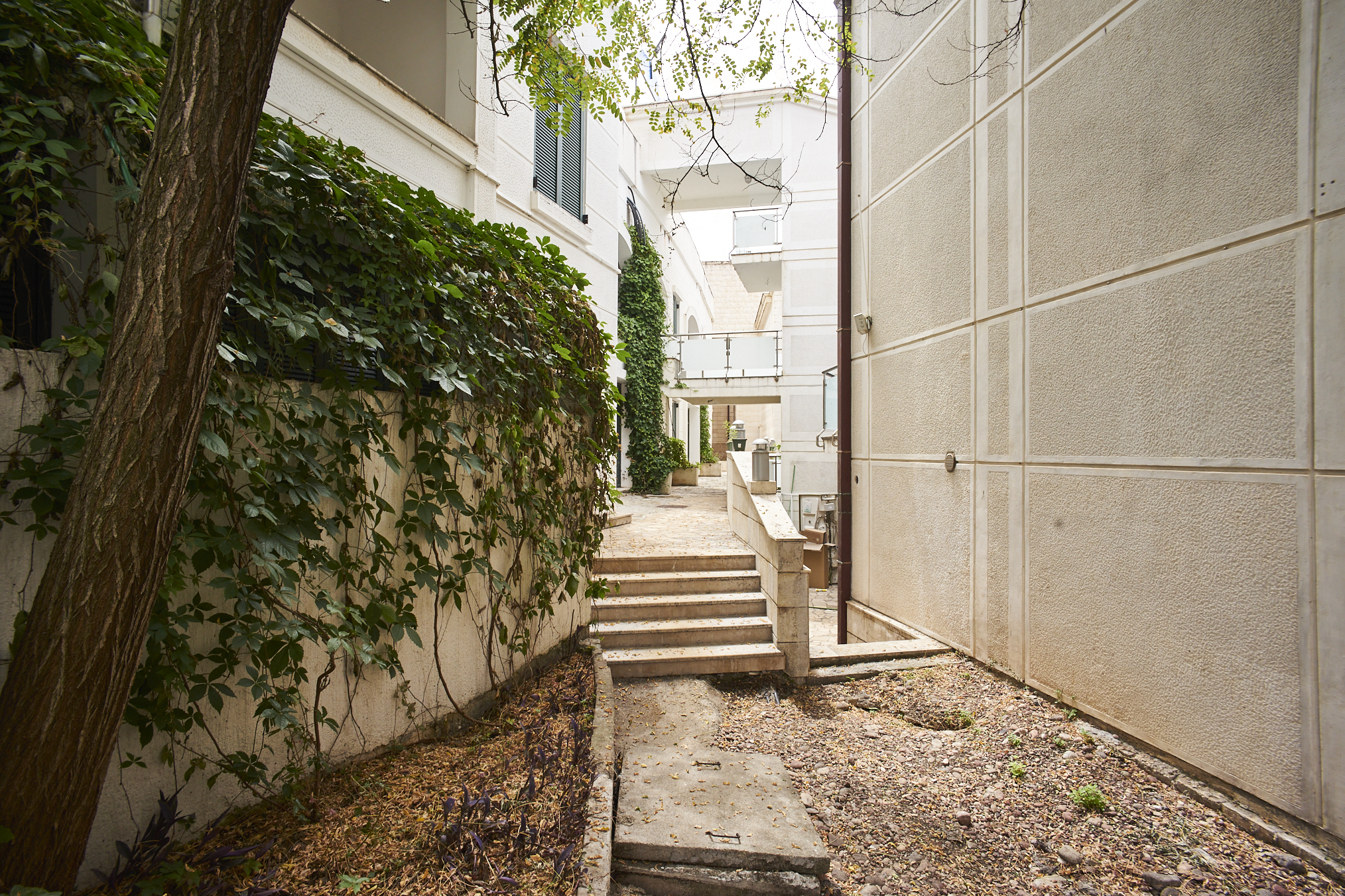 Pogled iz apartmana Secret Garden